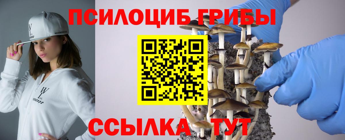 Галлюциногенные грибы Psilocybine cubensis  Вход с VPN  Гай 