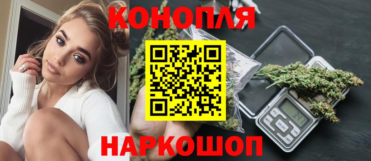 Бошки марихуана гибрид Гай